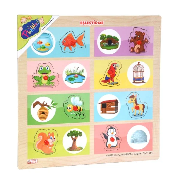 Ahşap Tutmalı Eşleştirme Hangi Hayvan Nerede Yaşar