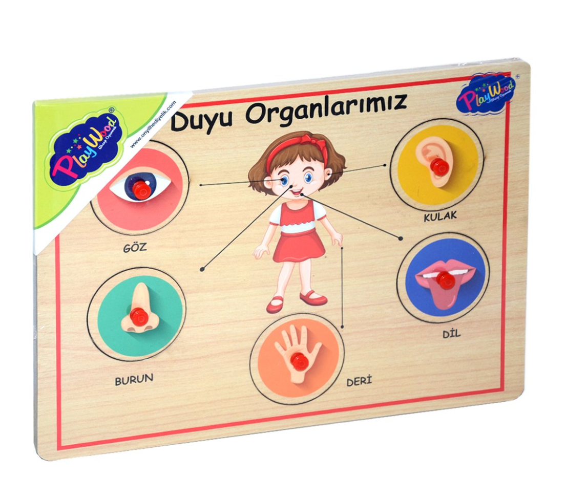 Onyıl, Ahşap Tutmalı Organlar