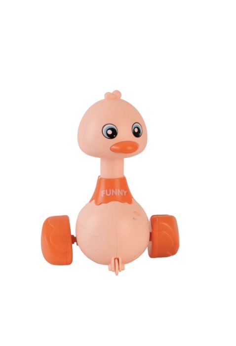 DİSPLAYDE BASBIRAK ÖRDEK 72